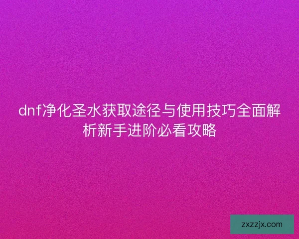 dnf净化圣水获取途径与使用技巧全面解析新手进阶必看攻略
