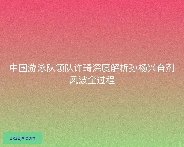 中国游泳队领队许琦深度解析孙杨兴奋剂风波全过程