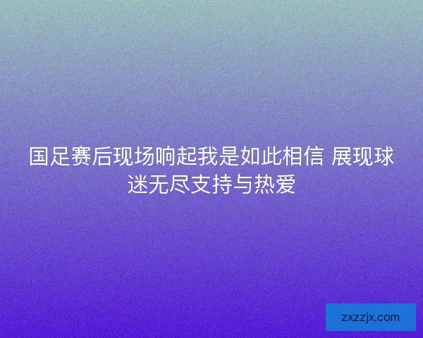 国足赛后现场响起我是如此相信 展现球迷无尽支持与热爱